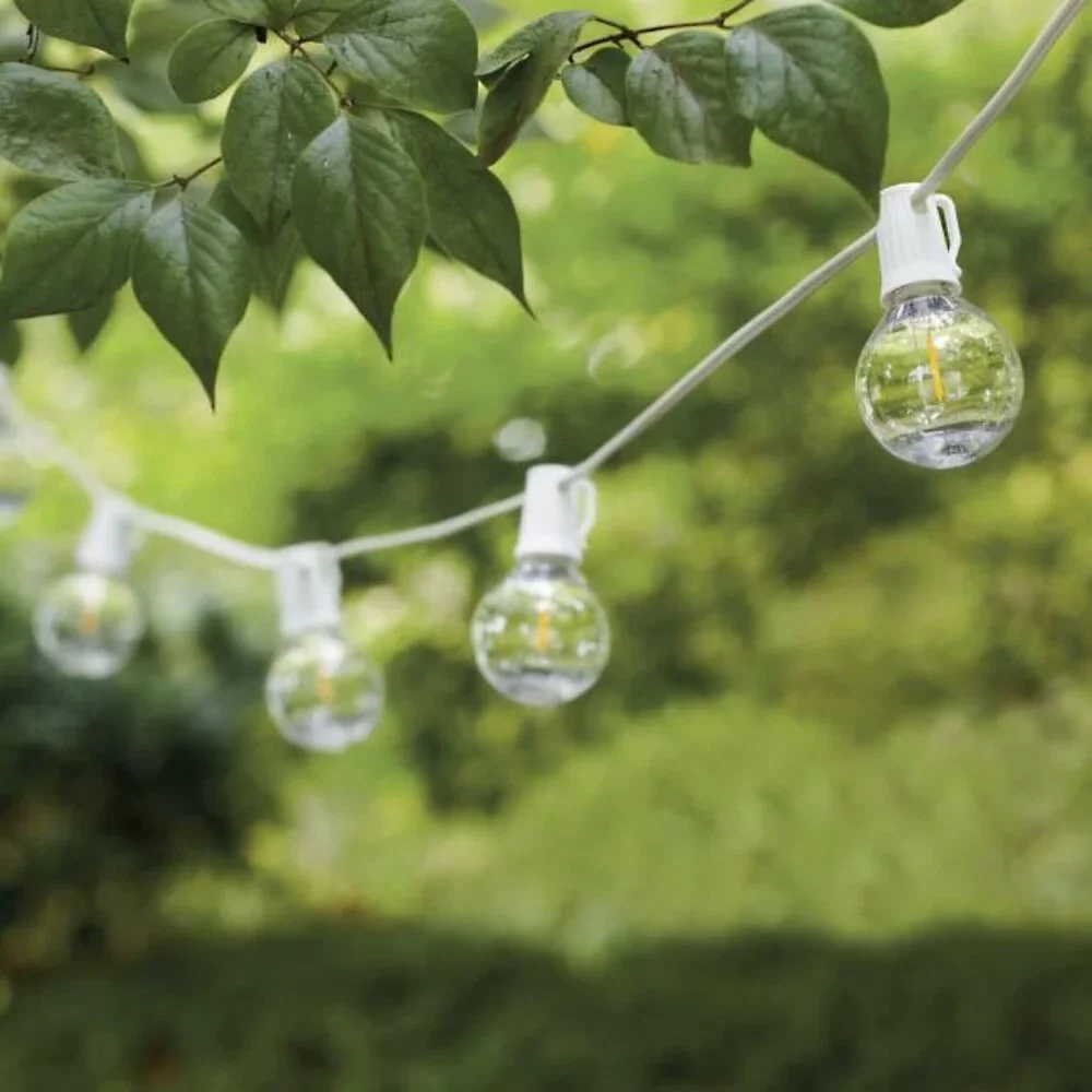 LED Globe Light Bulbs 12 count